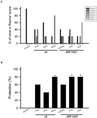 Equilibrative Nucleoside Transporters-1 Inhibitors Act as Anti-epileptic Agents by Inhibiting Glutamatergic Transmission